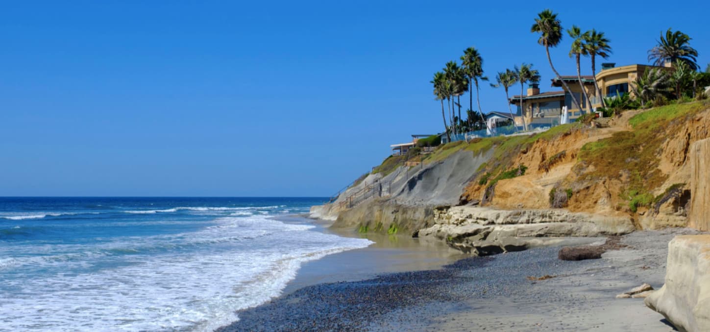 Cat Lounge Rescue and Adoption Center to open in La Jolla