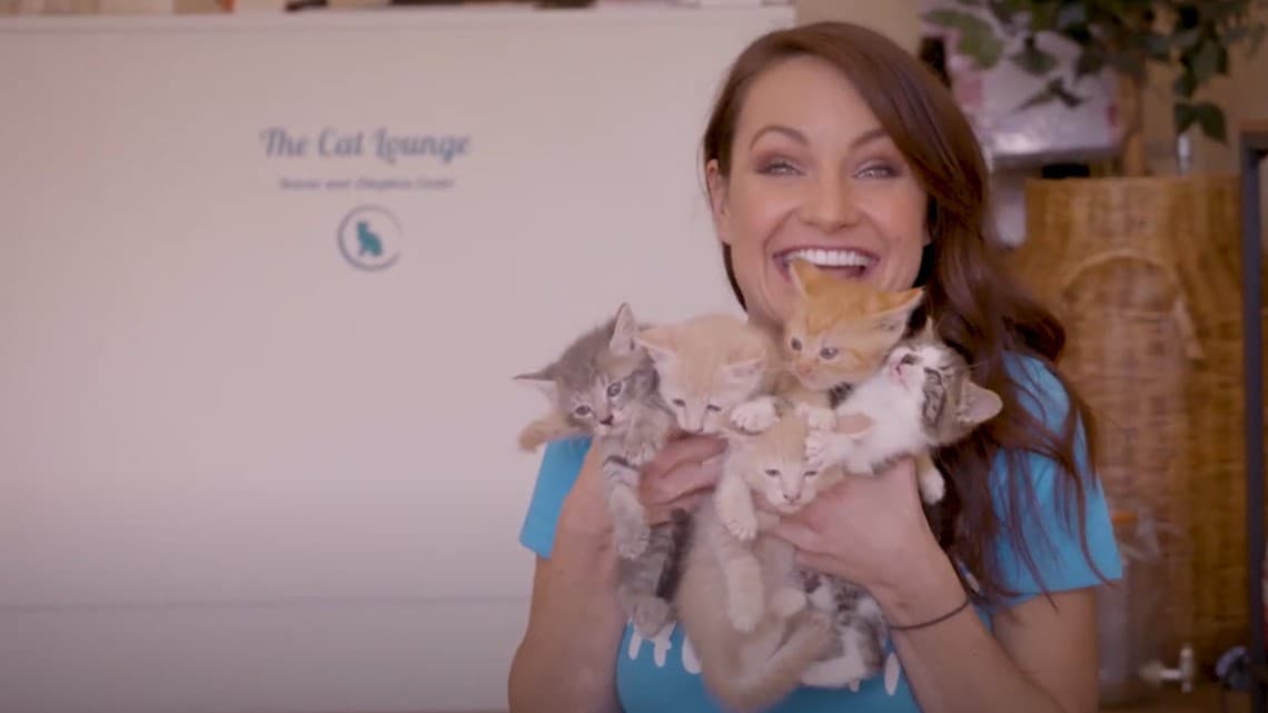 Stay PAWsitive: Help support the Cat Lounge and Second Chance Dog Rescue
