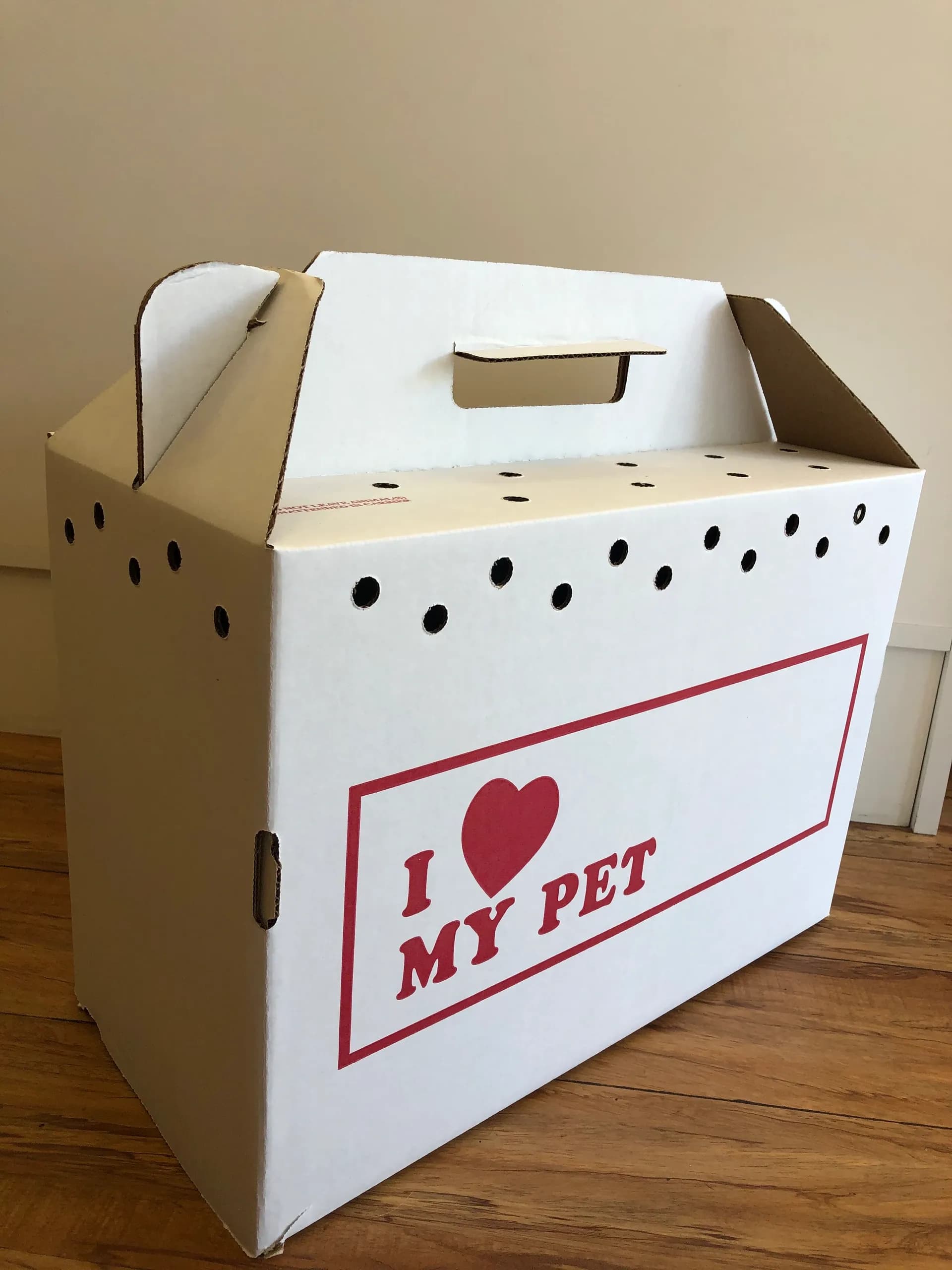Cat carrier for adopters to take their new cat or kitten home